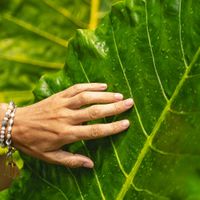 Faithful to Nature Gift Voucher - The Gift of Choice
